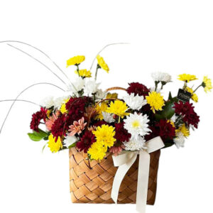 Chrysanthemum basket