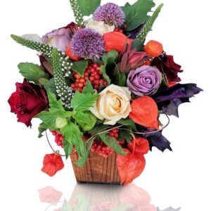 Autumn Bloom