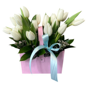 Tulip Whisper