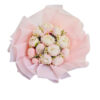Peony Dreams 2