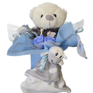 Baby Boy Accessories Gift Set
