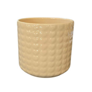 Orchid Pot - Pastel Yellow
