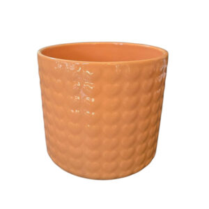 Orchid Pot - Pastel Orange