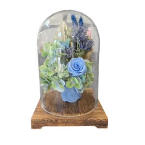 Blue Dune Dome