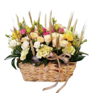 Floral Setaria Wonder