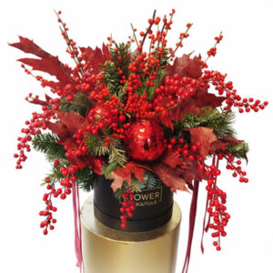 Limited Christmas Edition