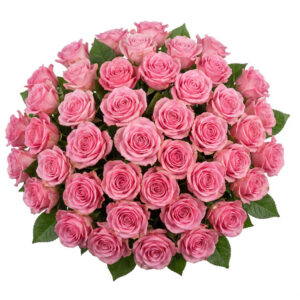 51 Pink Roses Bouquet