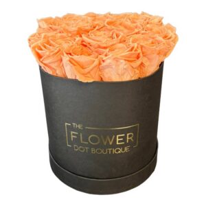 Box of Forever Peach Roses
