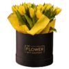 Tulips Yellow Box