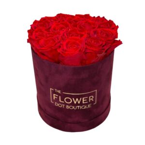 Velvet Eternity - Red