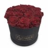Box of 15 Preserved Red Roses