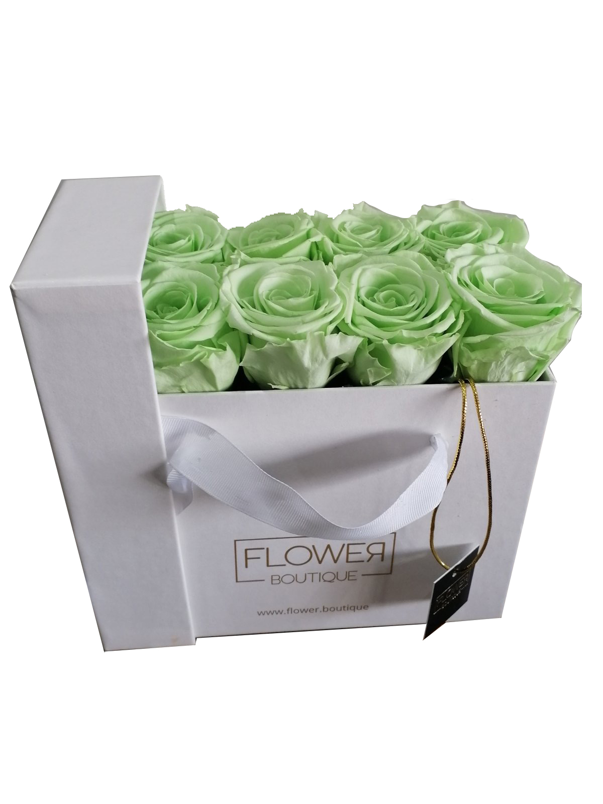 Preserved Long Lasting Lime Roses
