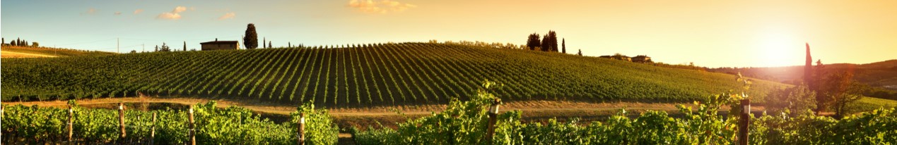 Cyprus wineries