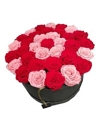 Large Box Of Forever Roses (Red Shades)