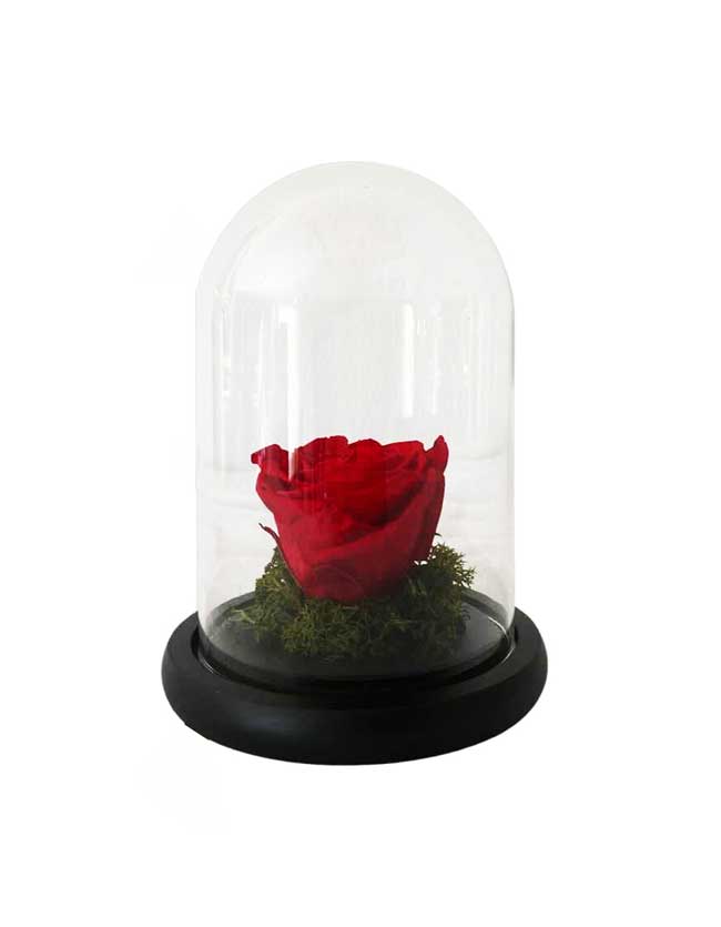 Forever Rose in glass