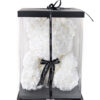 Large Forever Teddy - Clear Box - Size 35cm