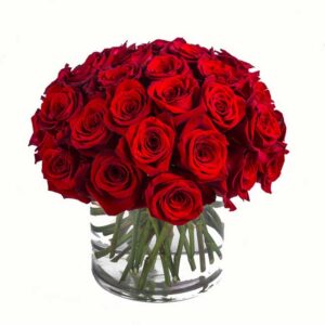 A luxurious bouquet of 33 large-headed Colombian red roses