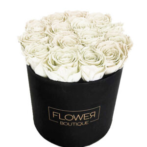 Box of 15 Preserved White Roses