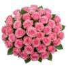 51 Pink Roses Bouquet