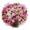 Blush Harmony