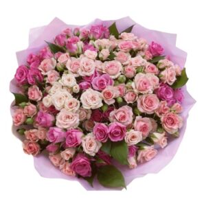 Blush Harmony