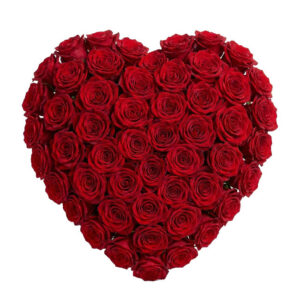 49 premium red roses on a foam vase
