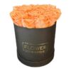 Box of Forever Peach Roses
